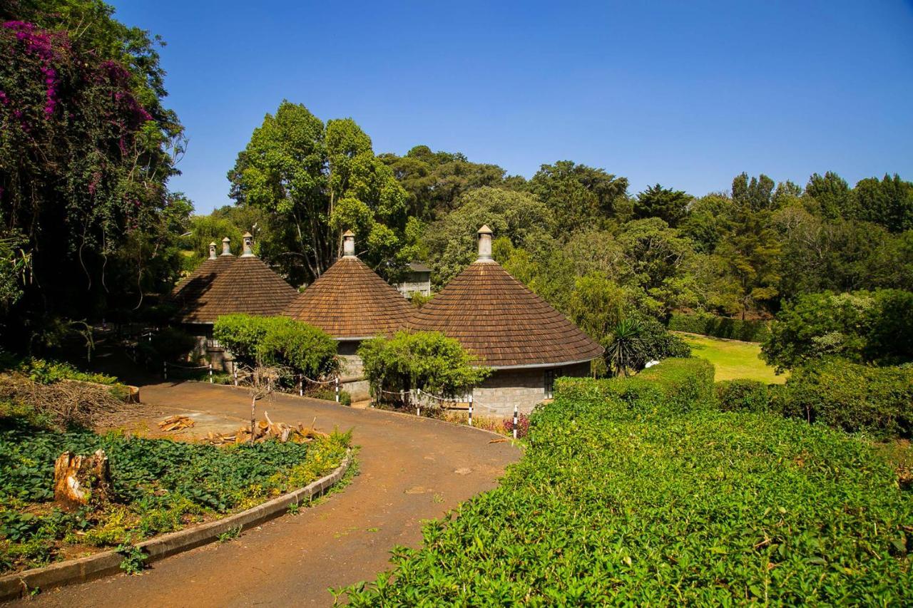 Thayu Farm Hotel Limuru Eksteriør billede